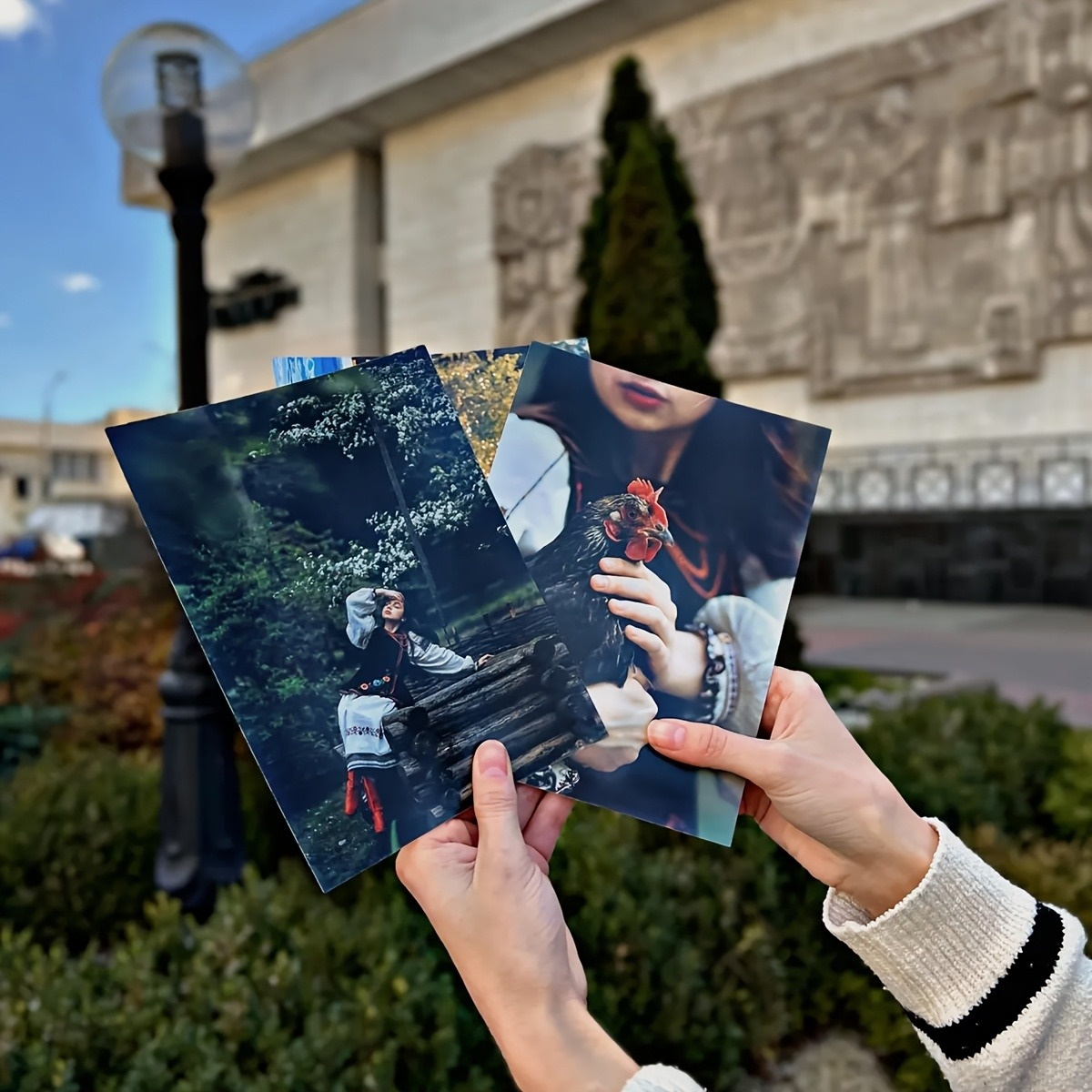 Dostępne w zestawach po 1/3/6  – Photography Website recenzja i cena