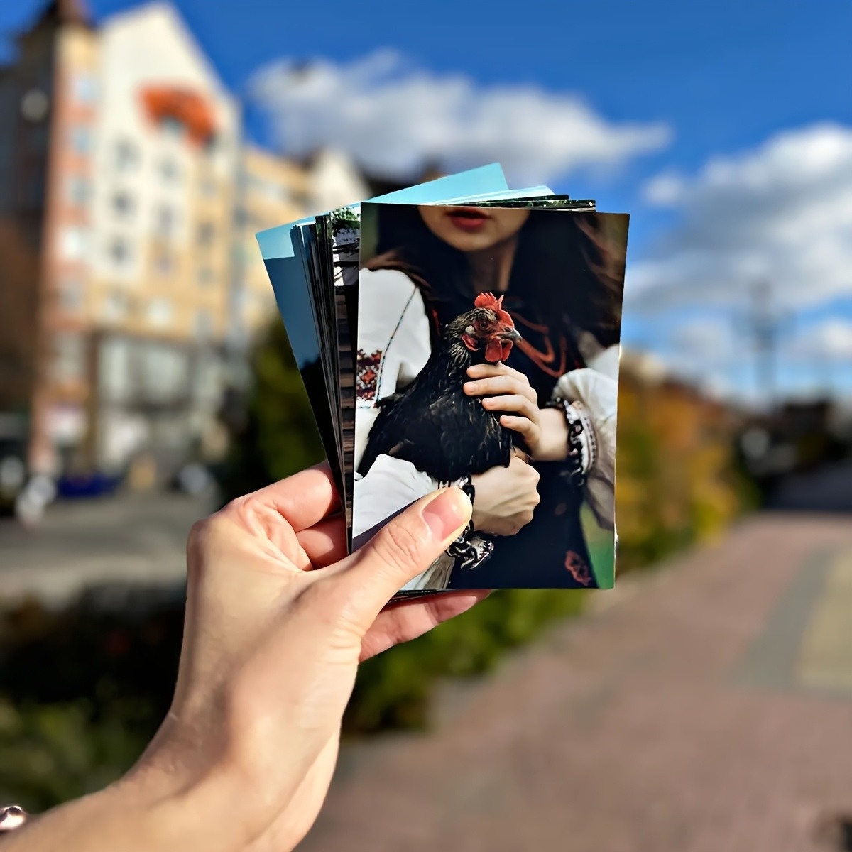 Dostępne w zestawach po 1/3/6  – Photography Website recenzja i cena